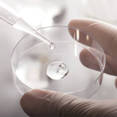 Quality Sterile Petri Dish Lab 90mm Plastic Disposable Bacterial Tissue Culture Petri Dish